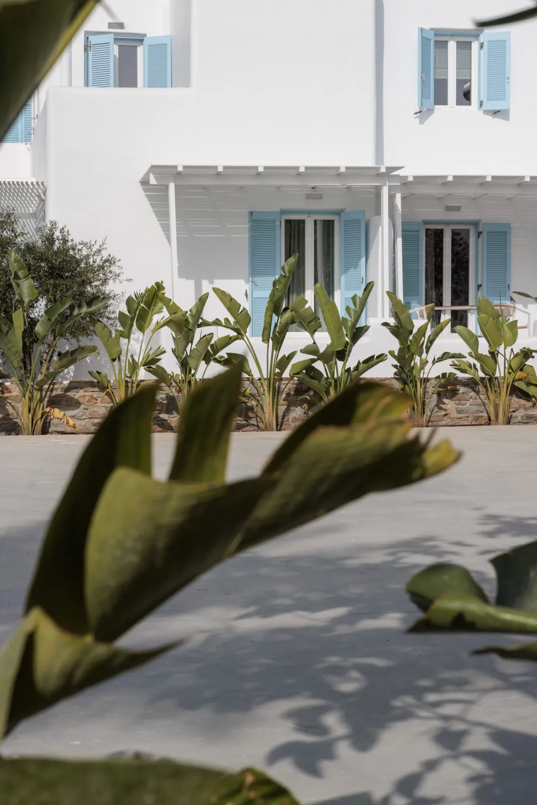 Agia Anna Living