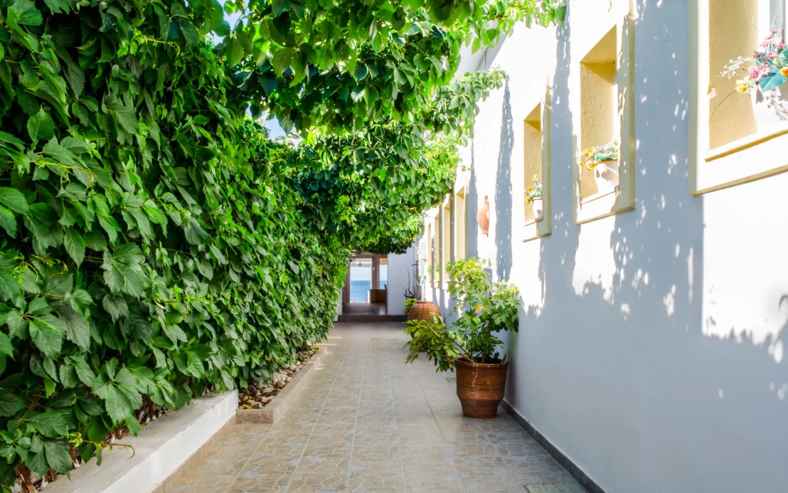 Laza Beach Inn Agistri