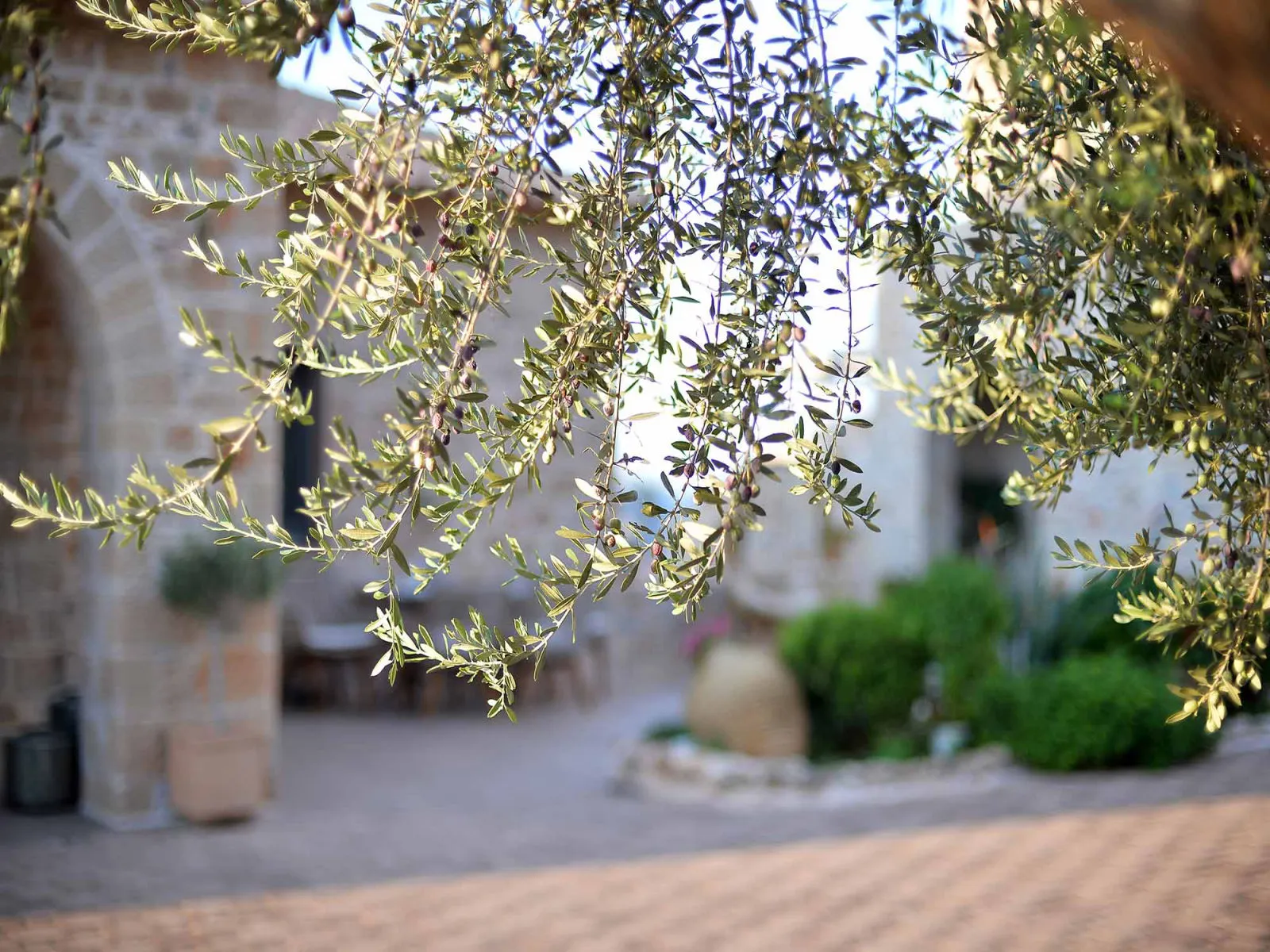 Akrolithi Boutique Hotel