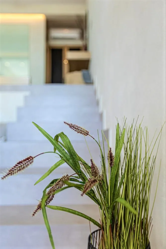Akrotiri Olympus Luxury Suites