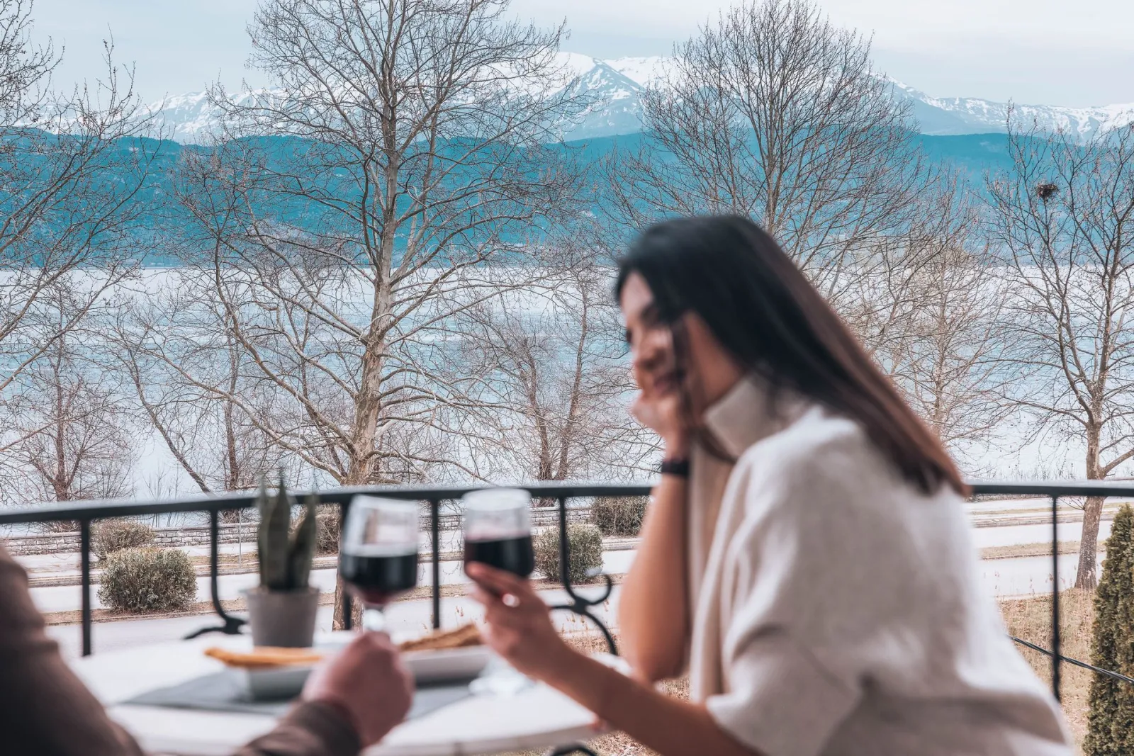 Akti Hotel Ioannina