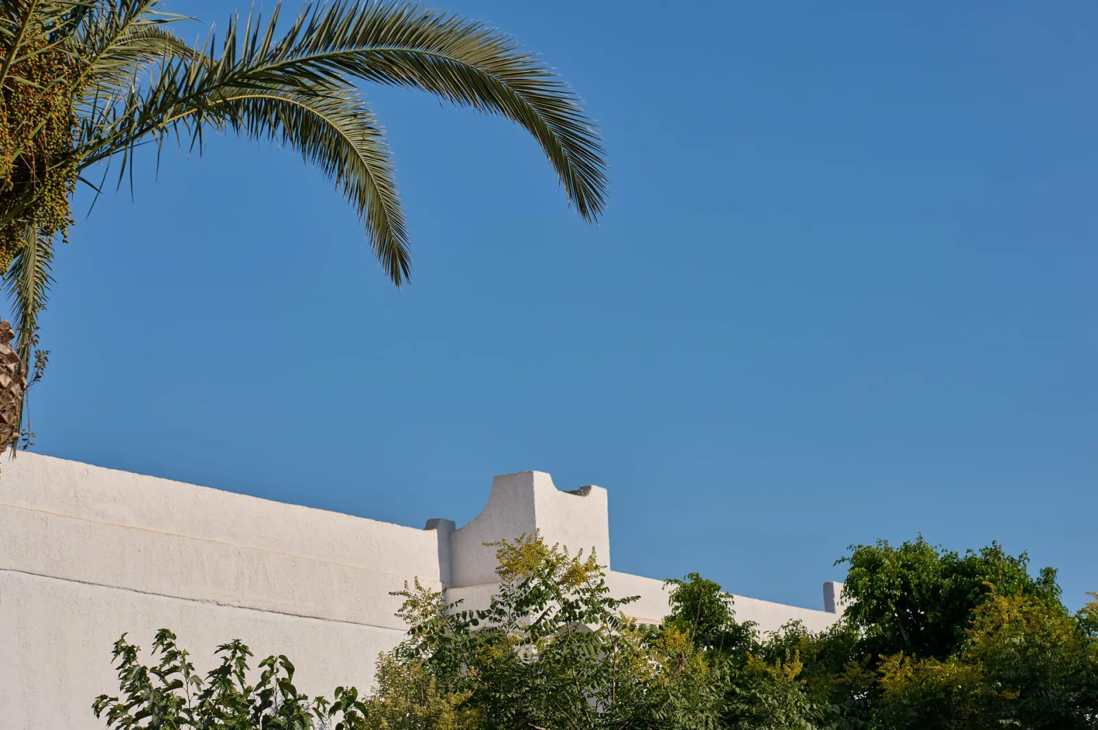 Atlantica Akti Zeus
