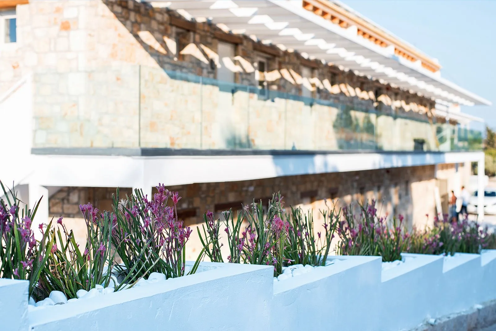 Aliv Stone Suites & Spa Zakynthos