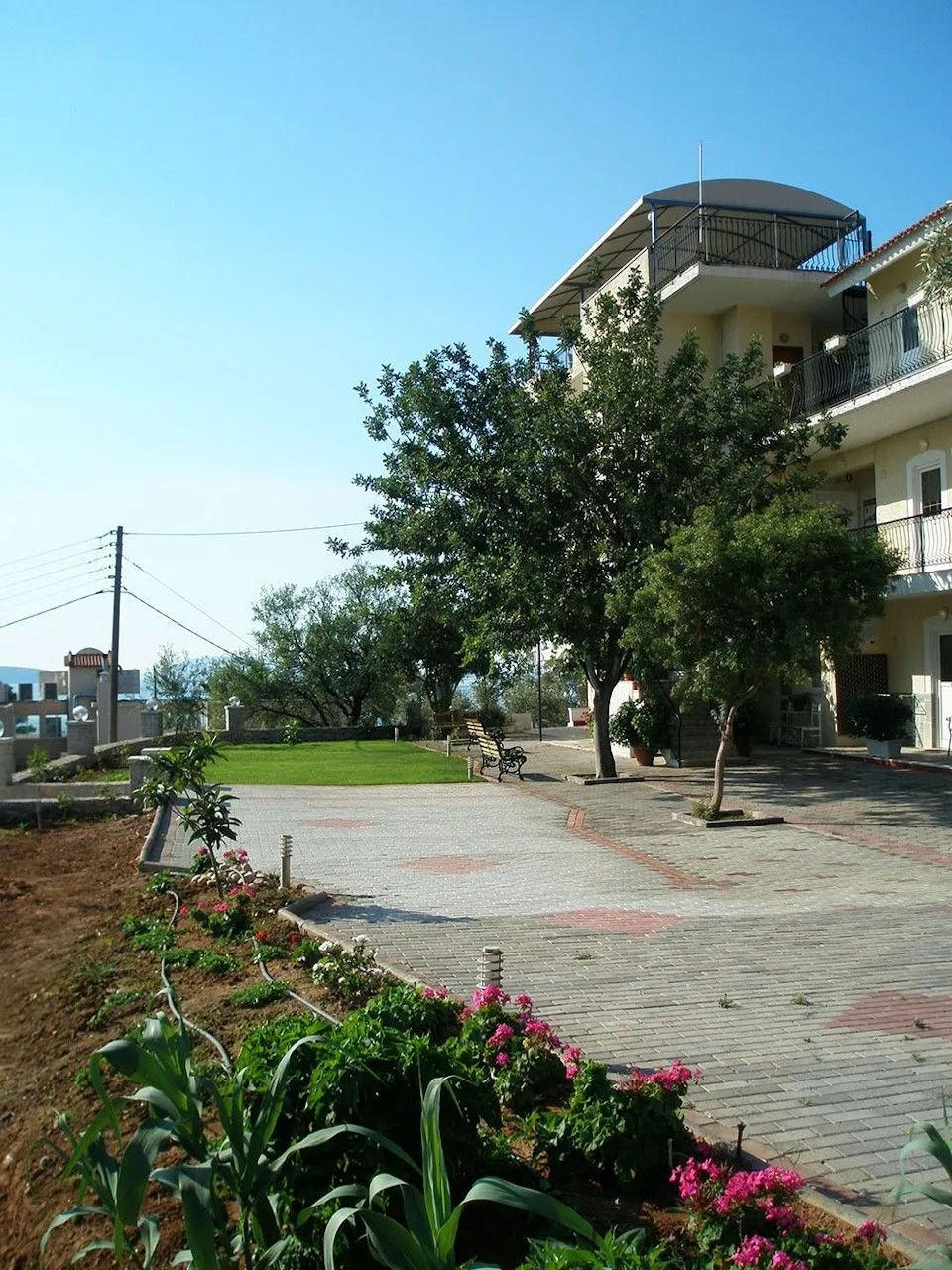 Alonia Studios Tolo