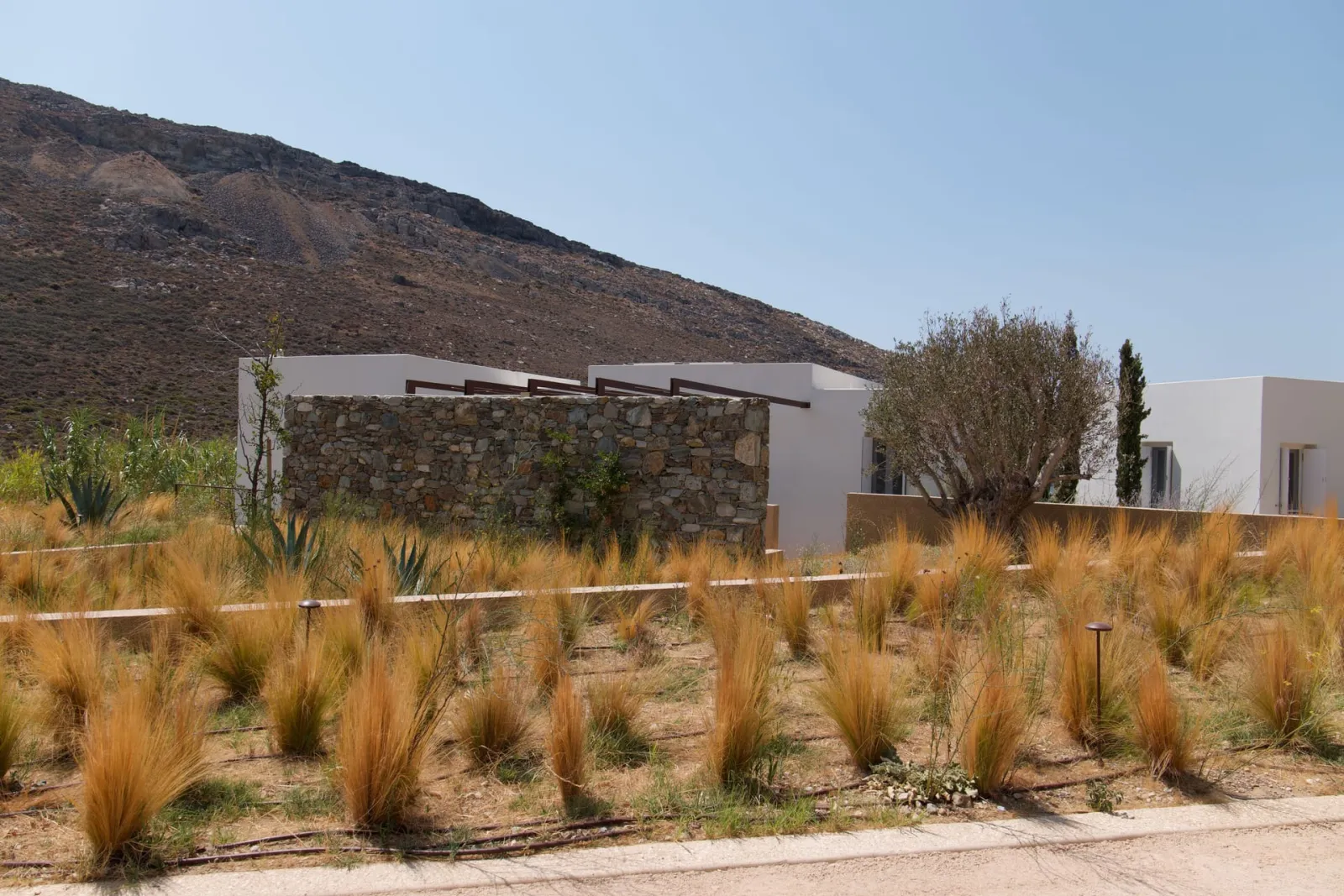 Ammoa