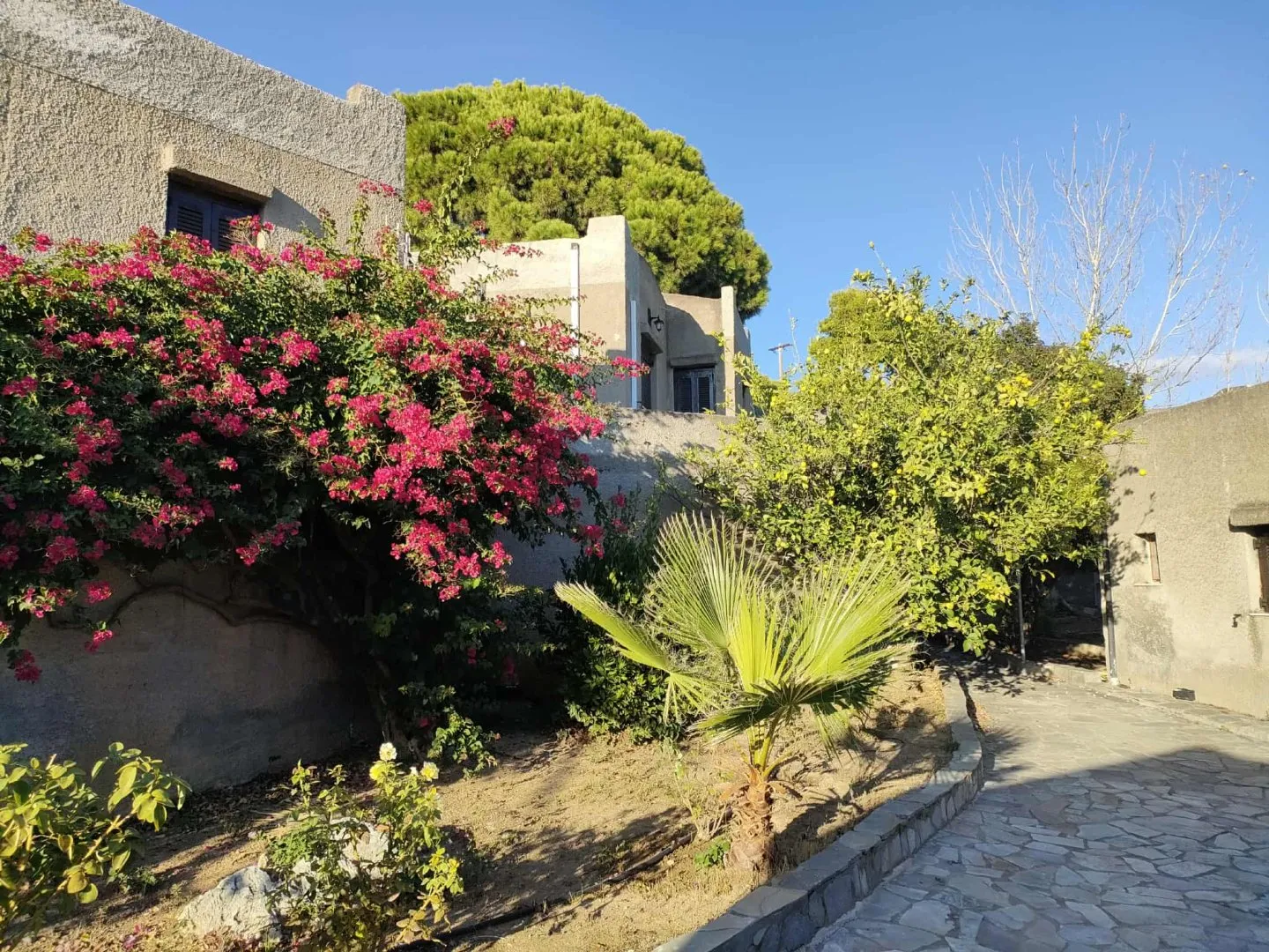 Cavo Grosso Bungalows