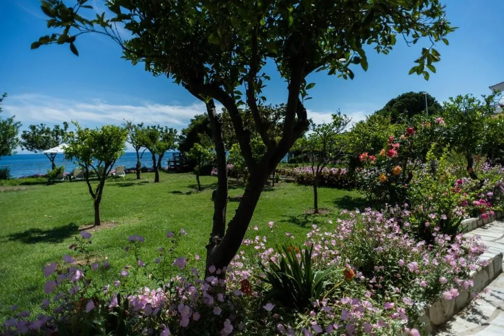Ammos Skiathos