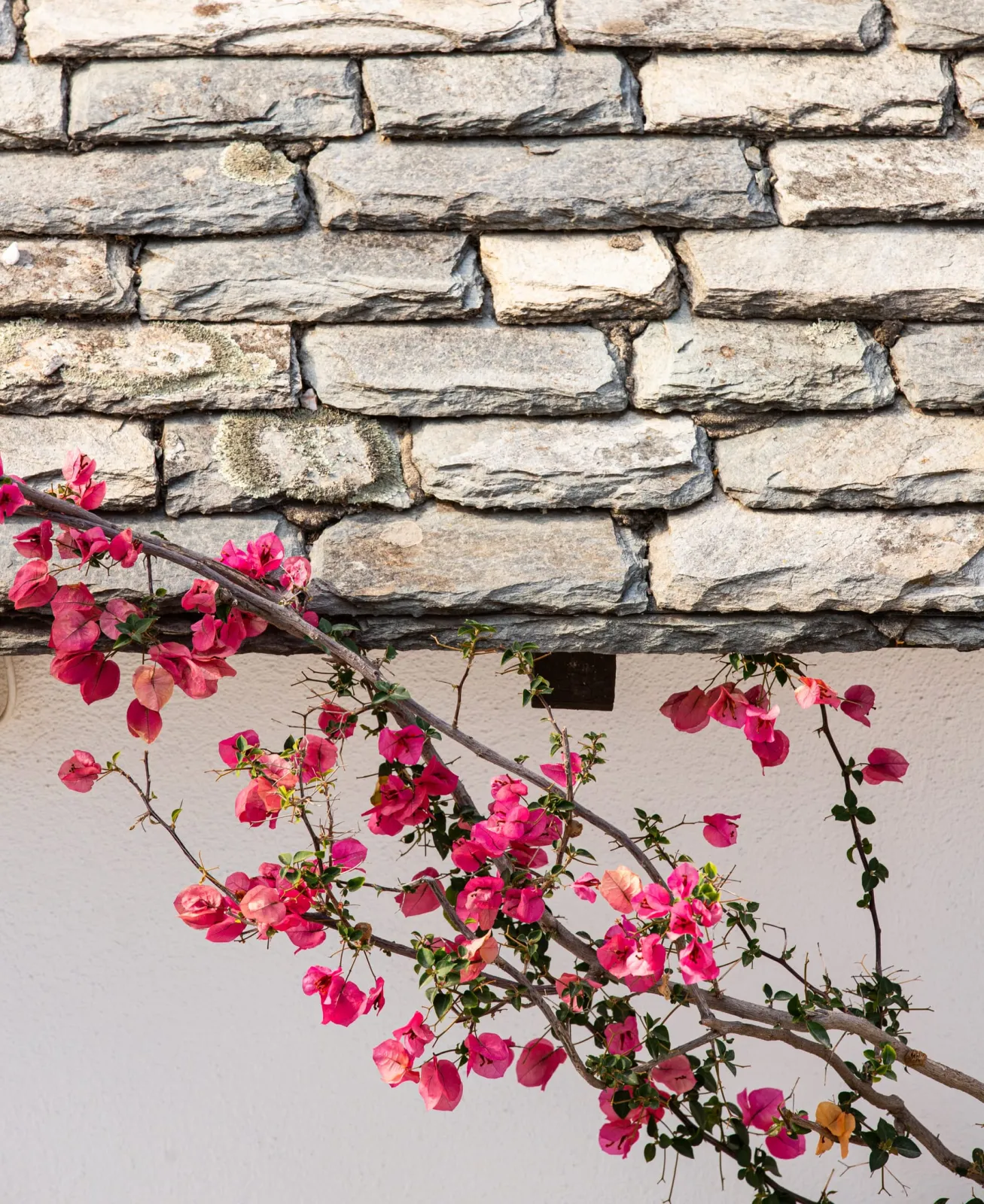 Aeolos Hotel & Villas - Pelion