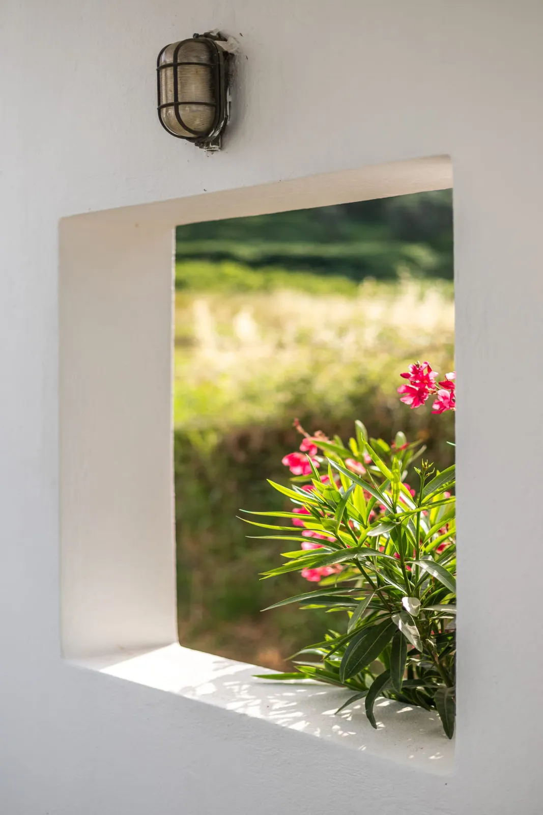 Aeolos Hotel & Villas - Pelion