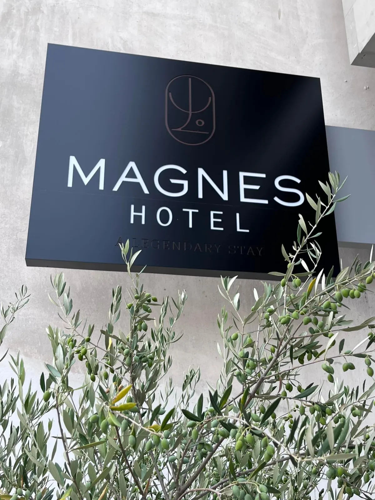 Magnes Hotel