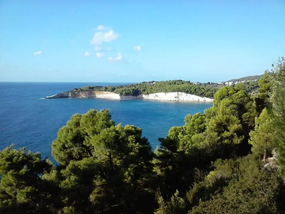 Milia Bay Hotel & Apartments Alonissos