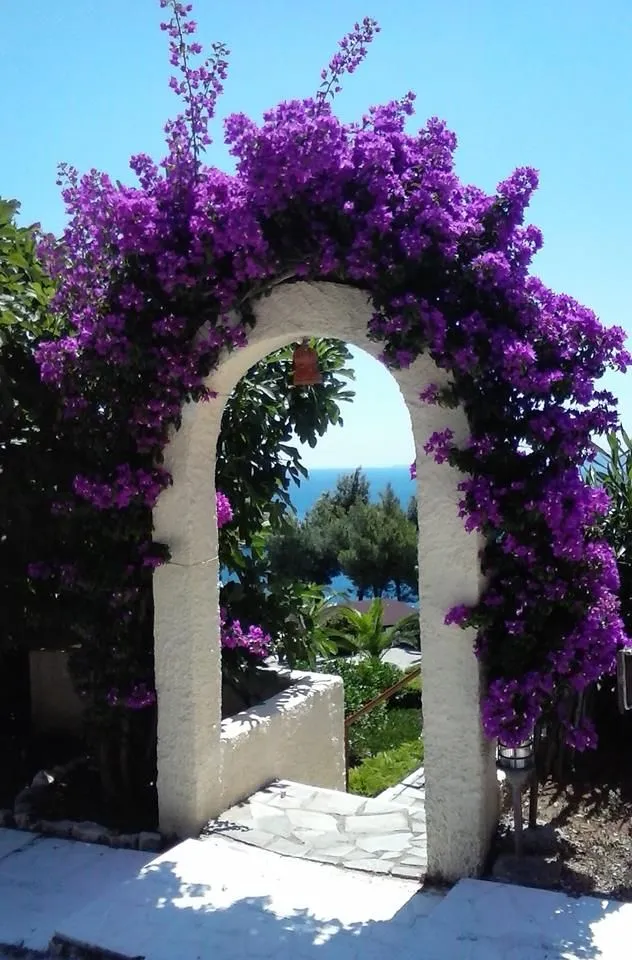 Milia Bay Hotel & Apartments Alonissos