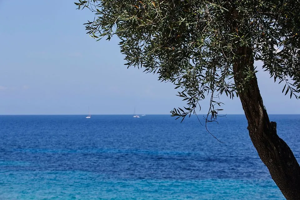 Anassa Mare Villas & Residences