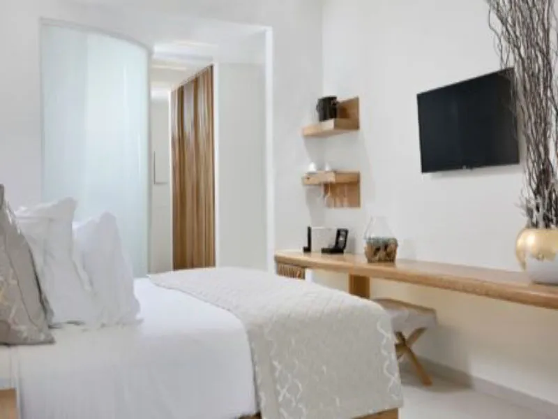 Anax Resort & Spa Mykonos