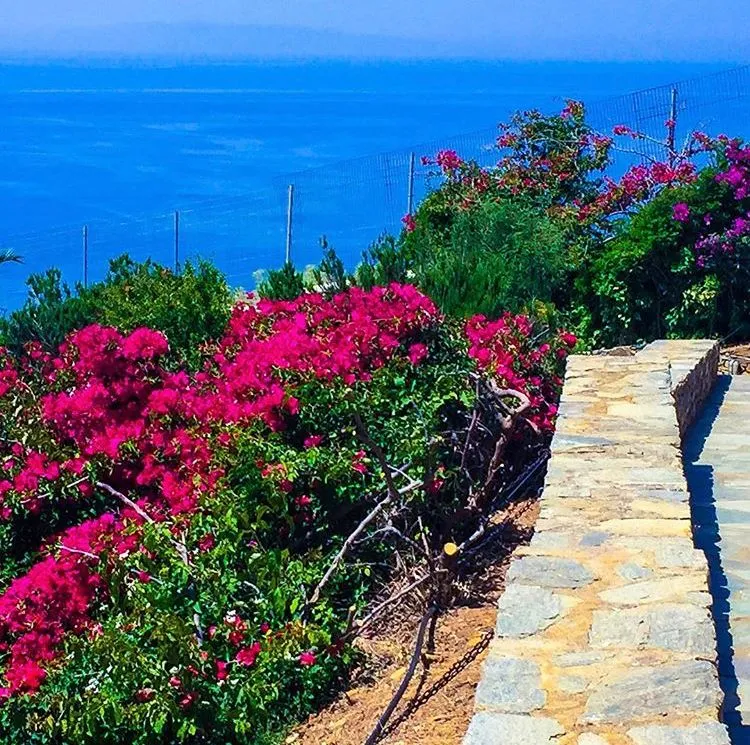 Andros Prive Suites