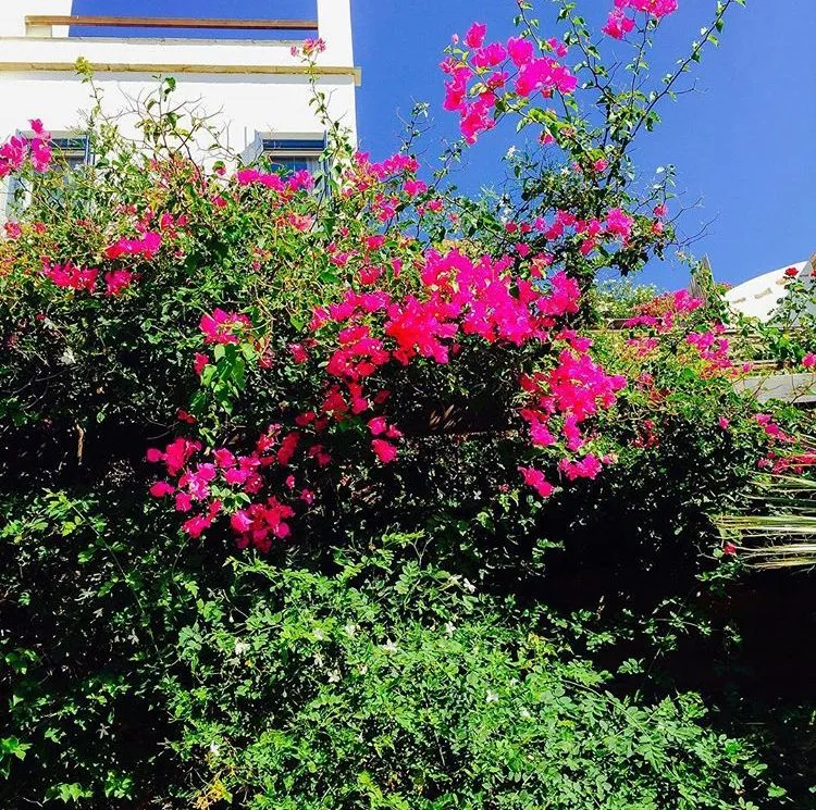 Andros Prive Suites