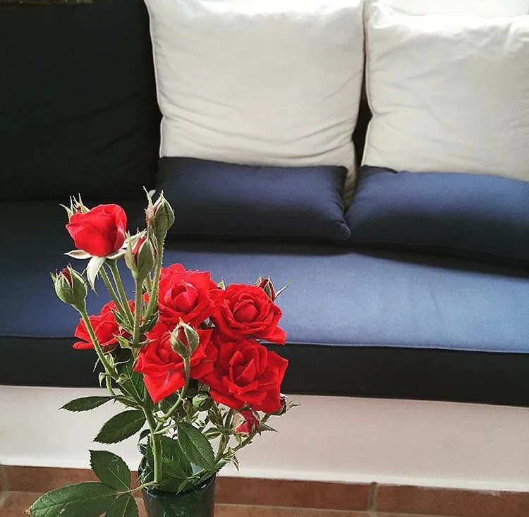Andros Prive Suites