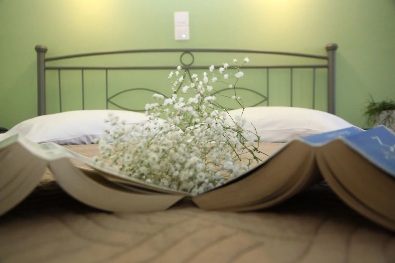 Apollon Hotel Apartments Rethymno