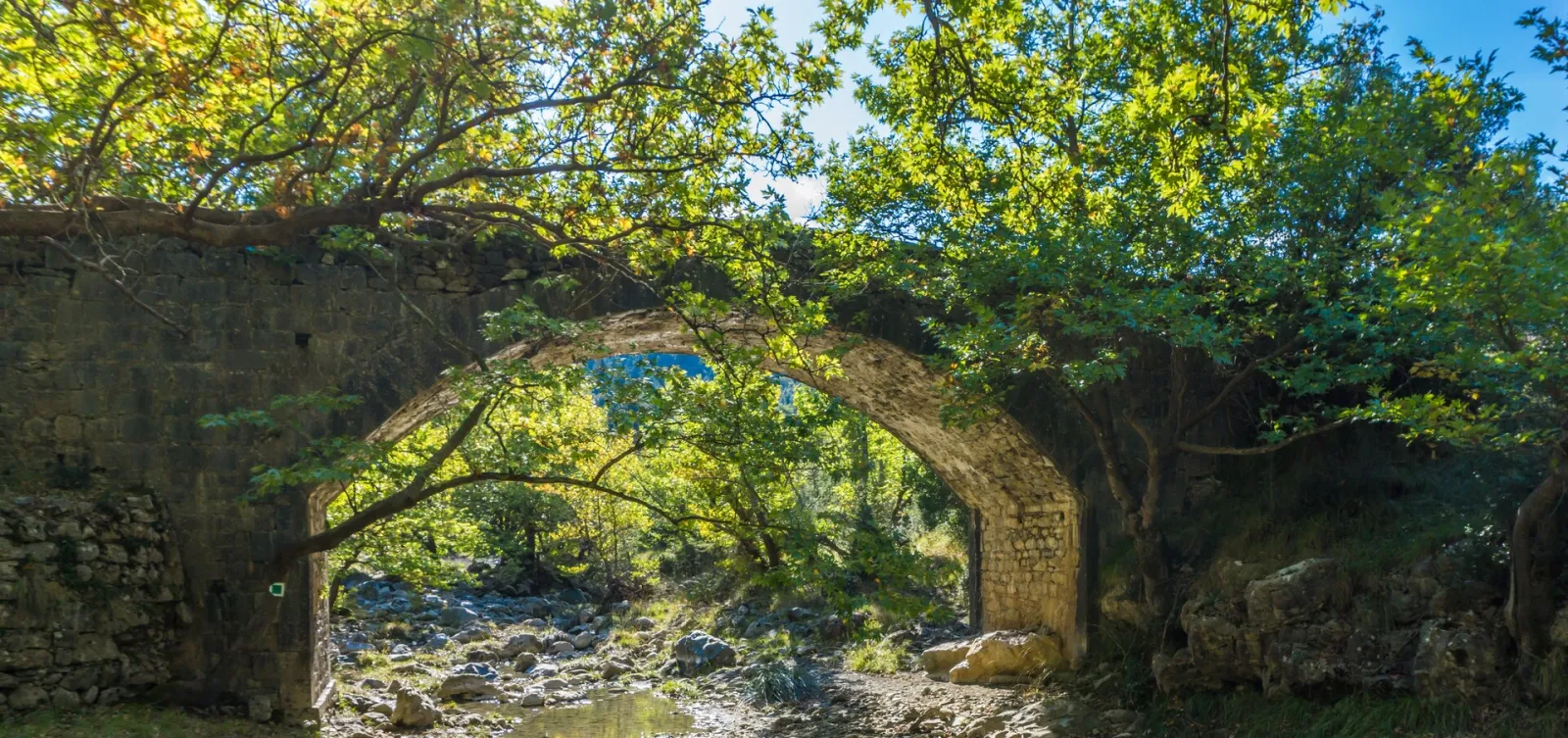 Vytina
