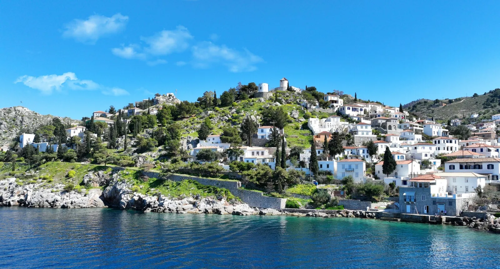 Hydra