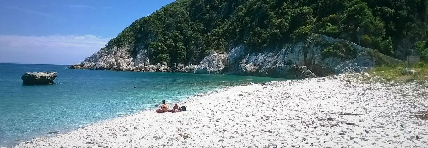 Damouchari