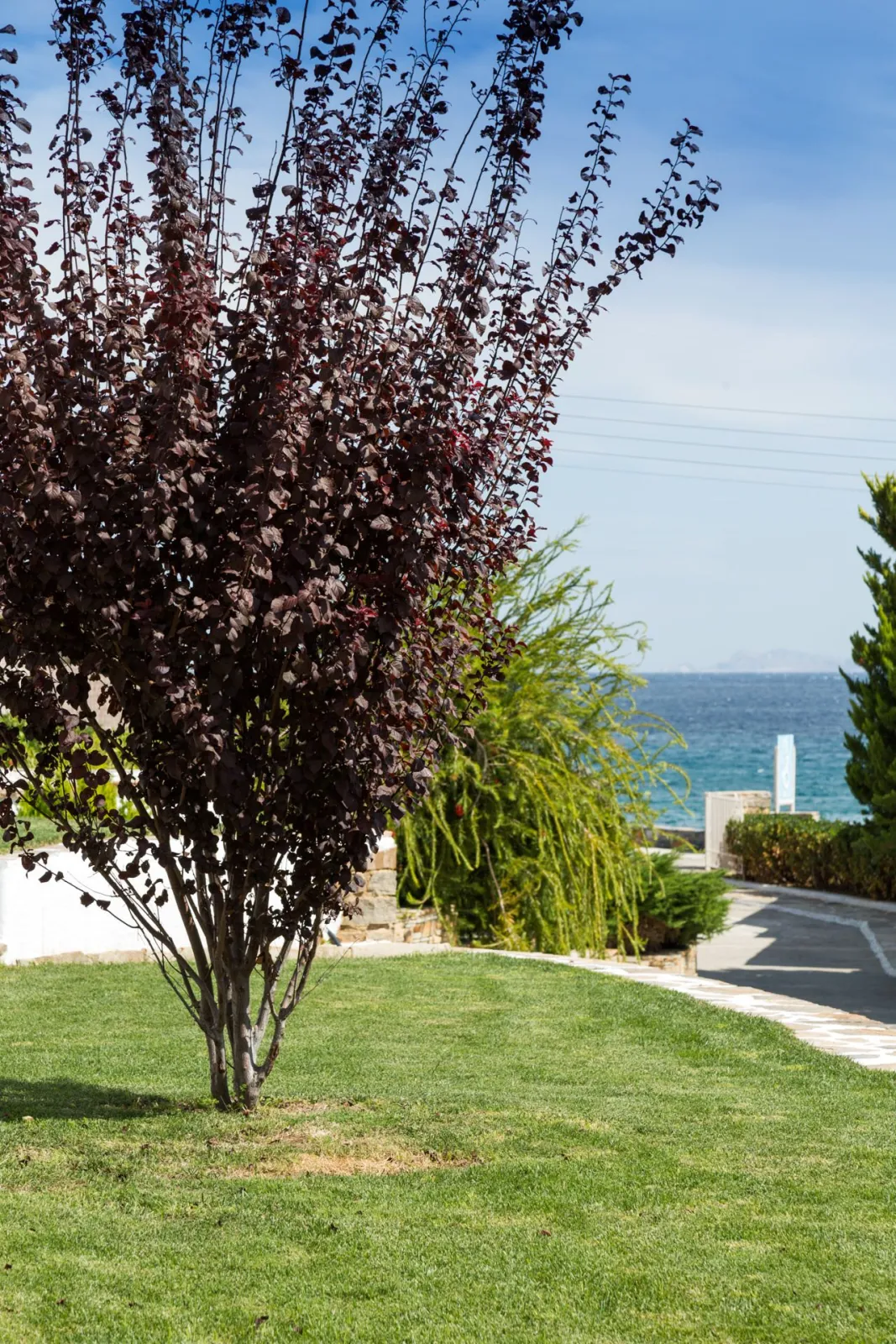 Side Sea View Apartment