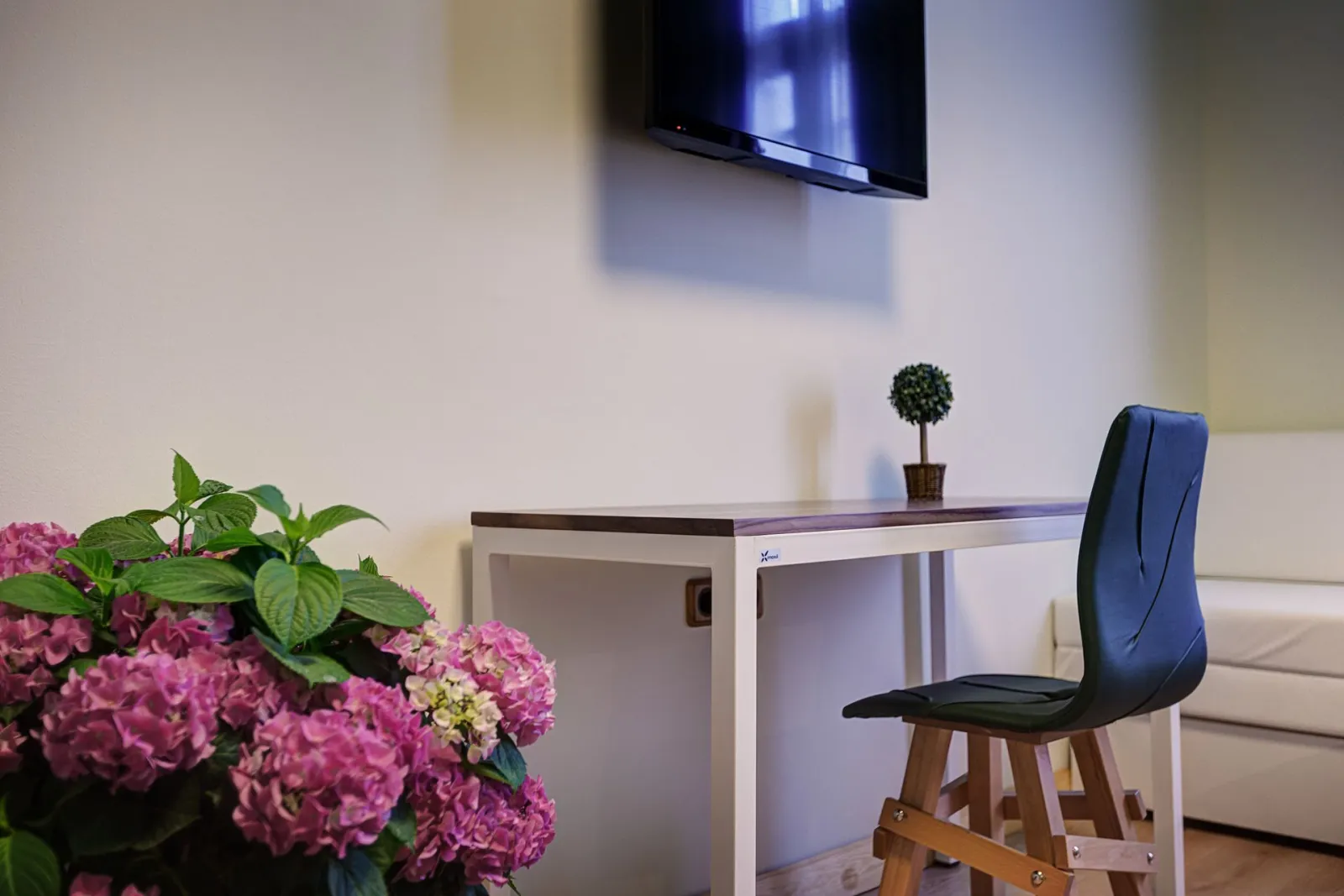 Fresh Executive Room