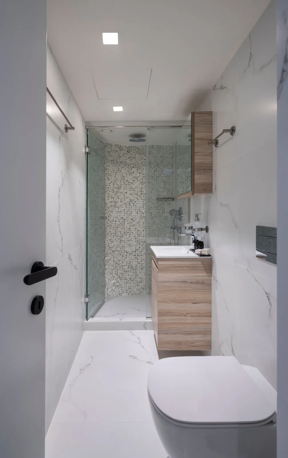 Deluxe Apartment with balcony