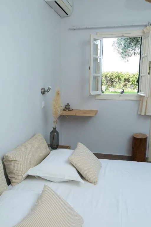 Studio with Garden View