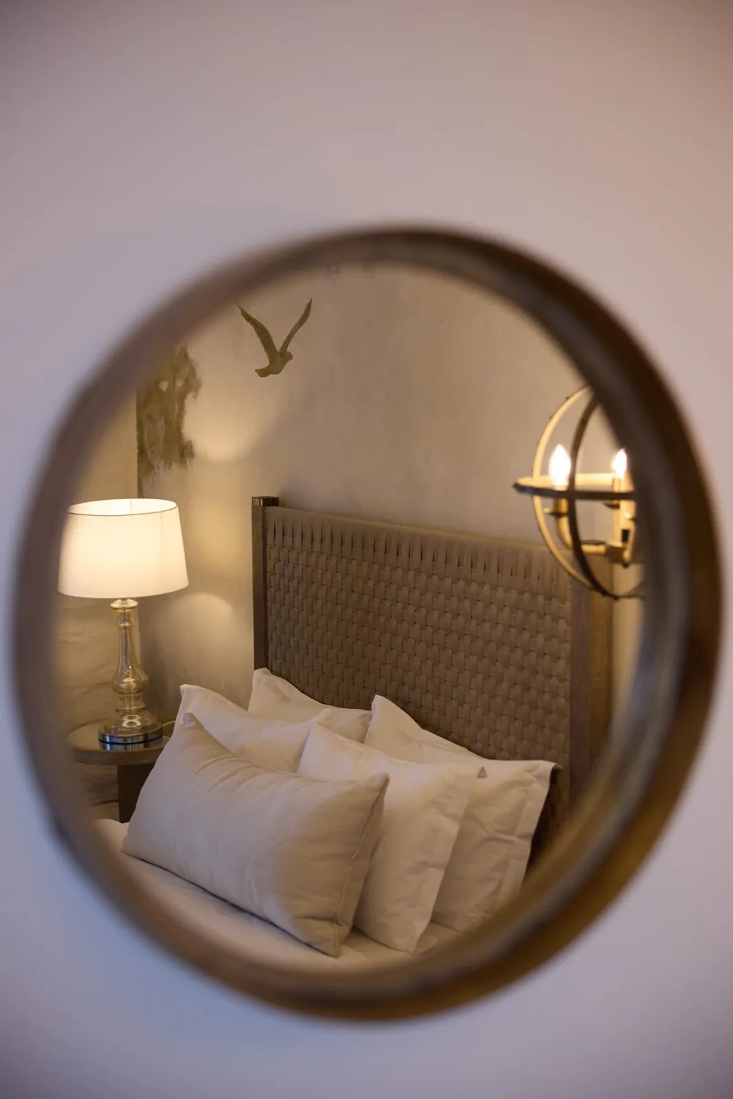 Oasis Suite