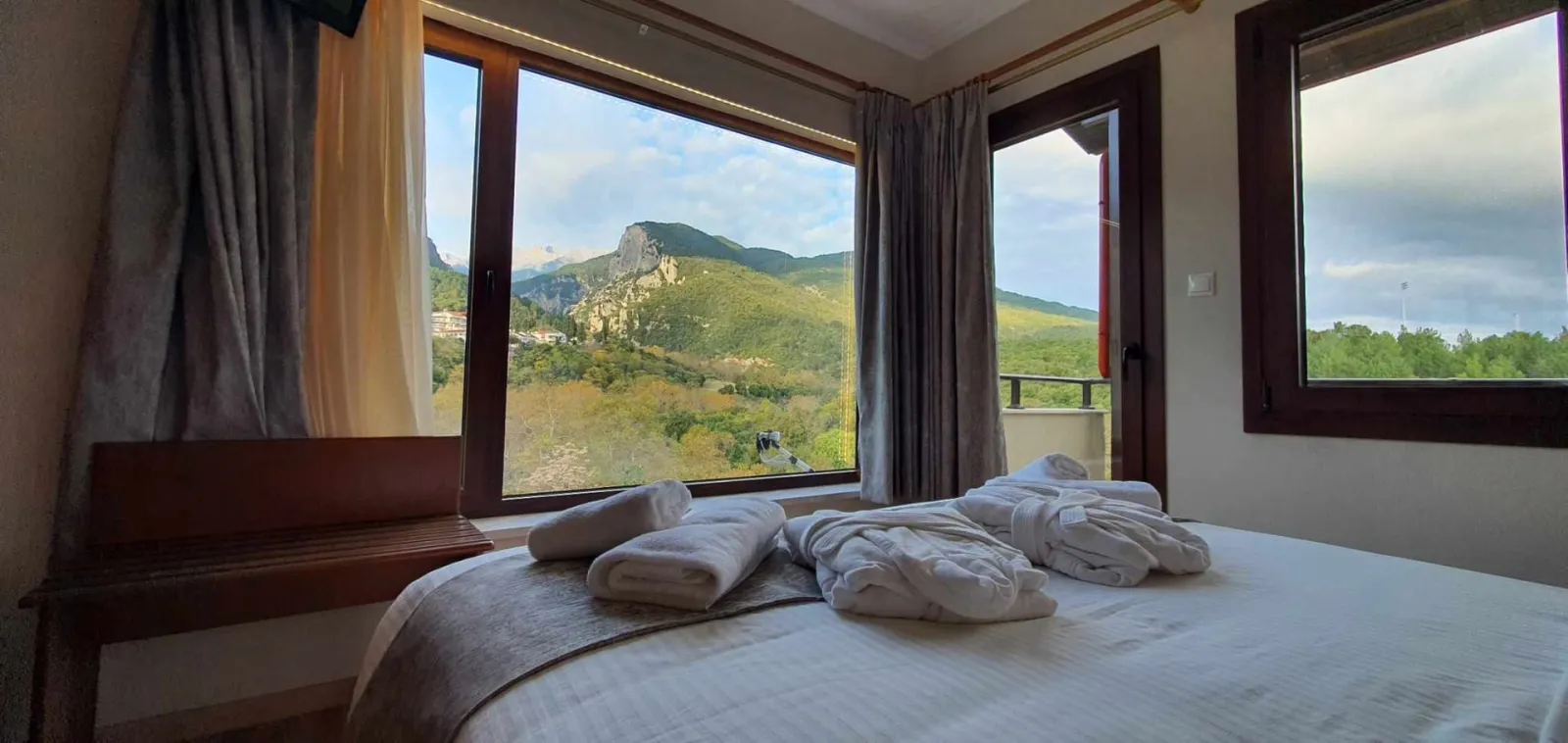 Double with Privileged View