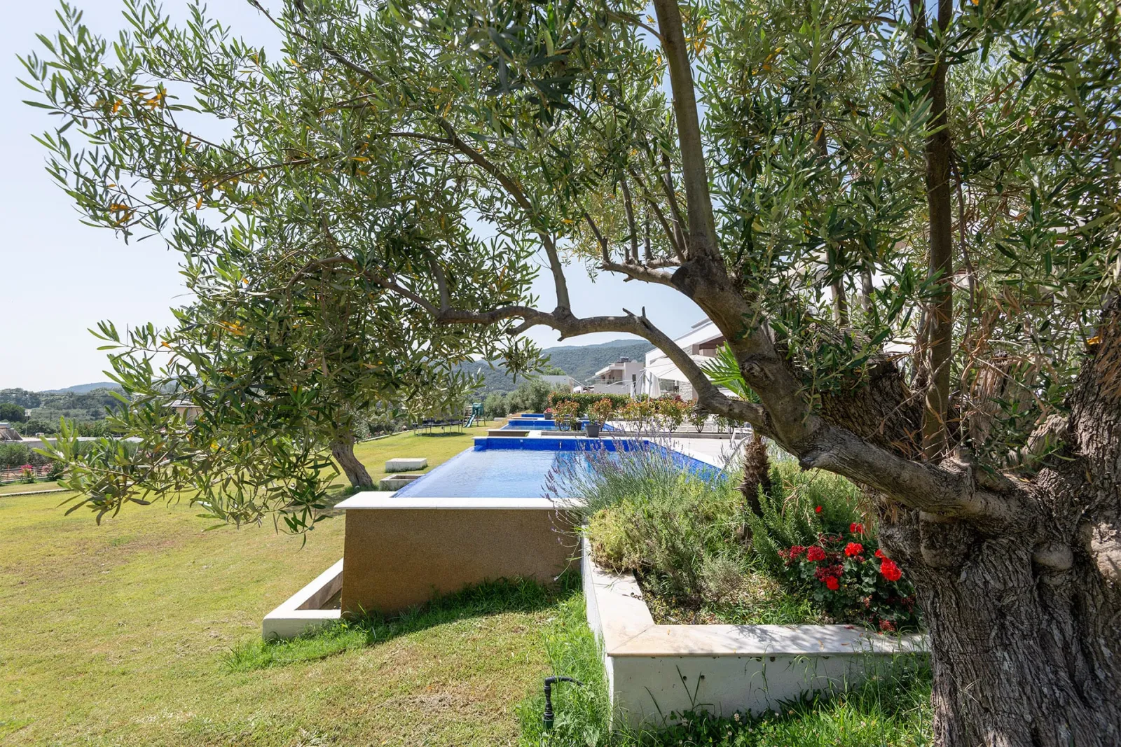 Afisia Parvus Villa