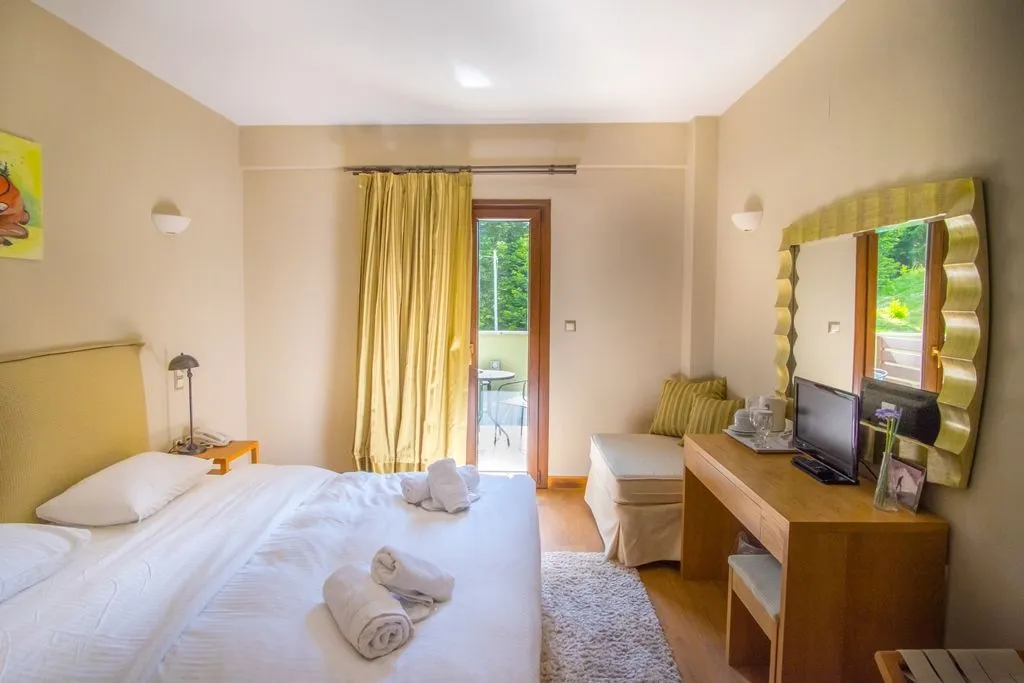 Double Room with Mountain View