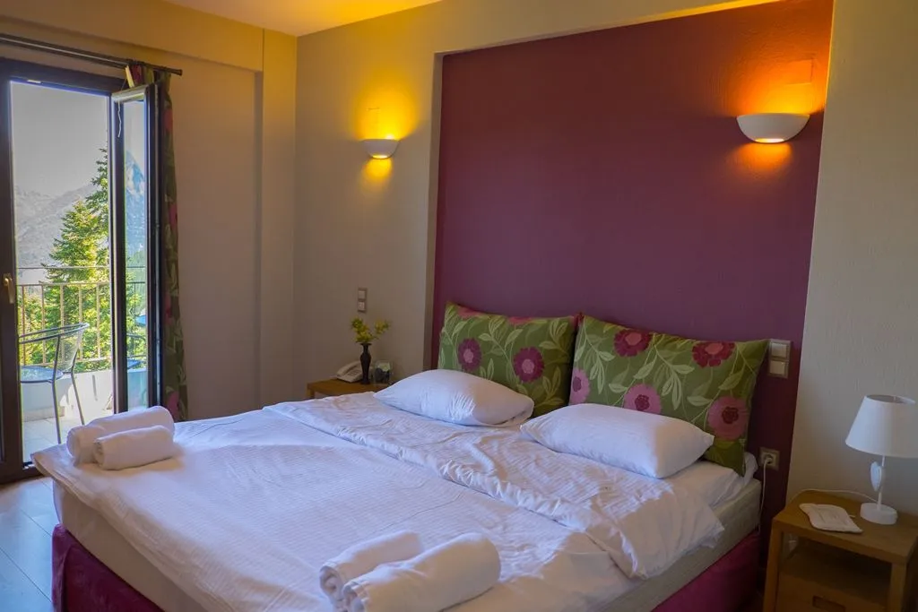 Double Room with Mountain View