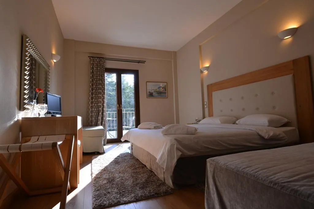 Double Room with Mountain View