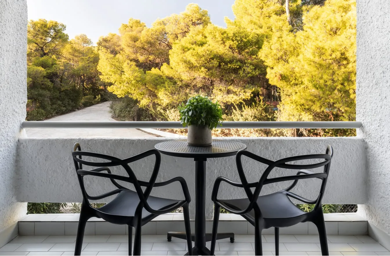Comfort Double Forest View