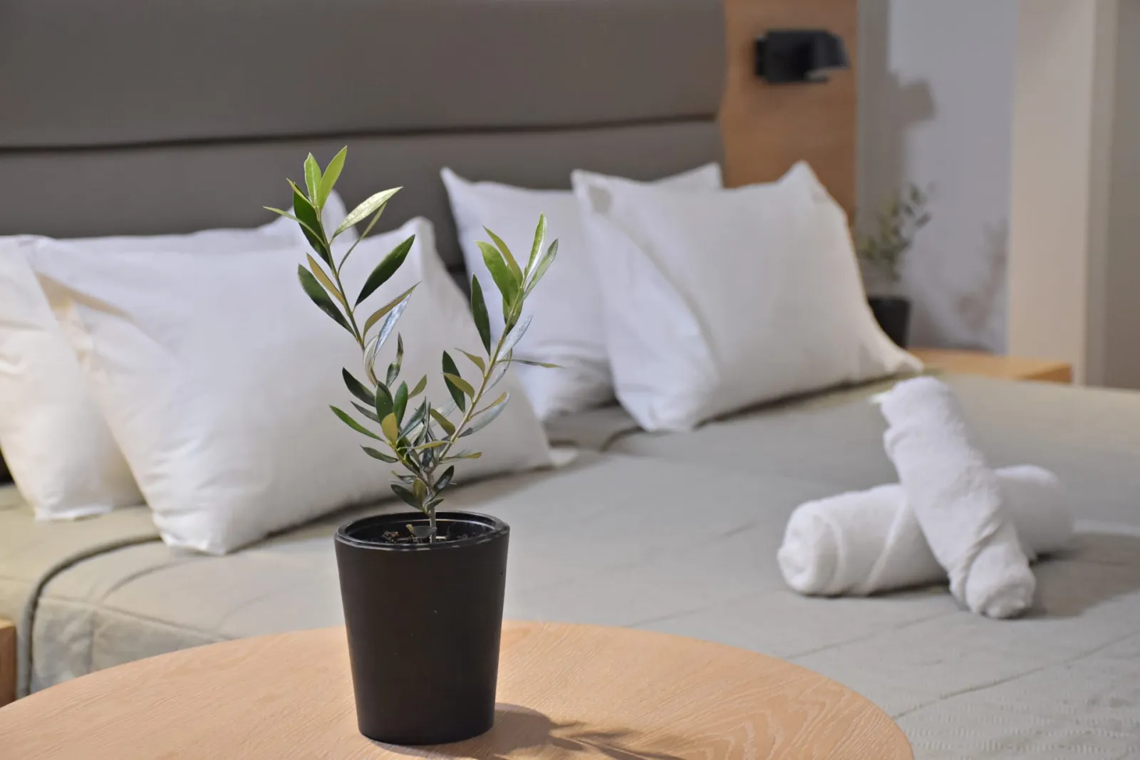 Superior Double/Twin Room