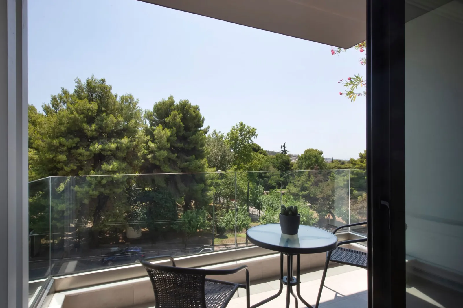 City View Suite