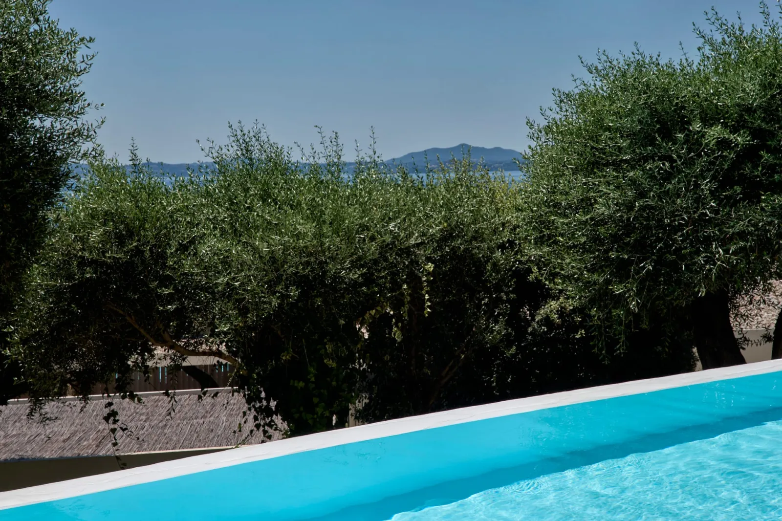 Deluxe Room Swim Up Sea View