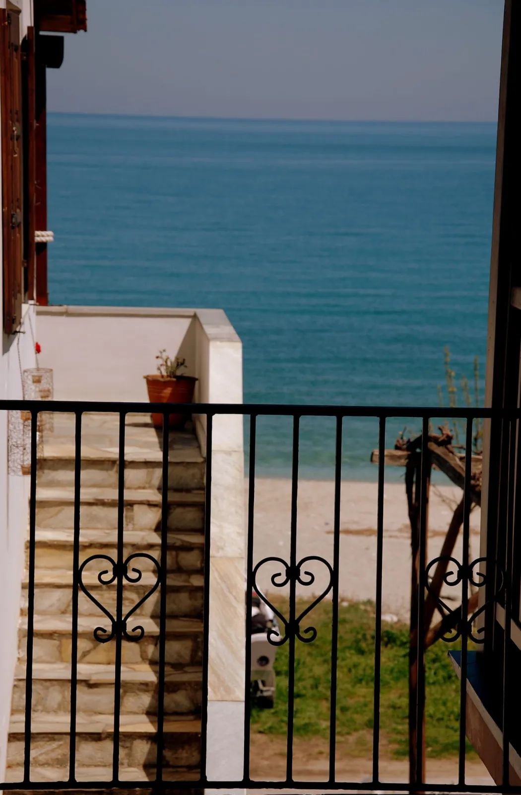Spacious double back yard view