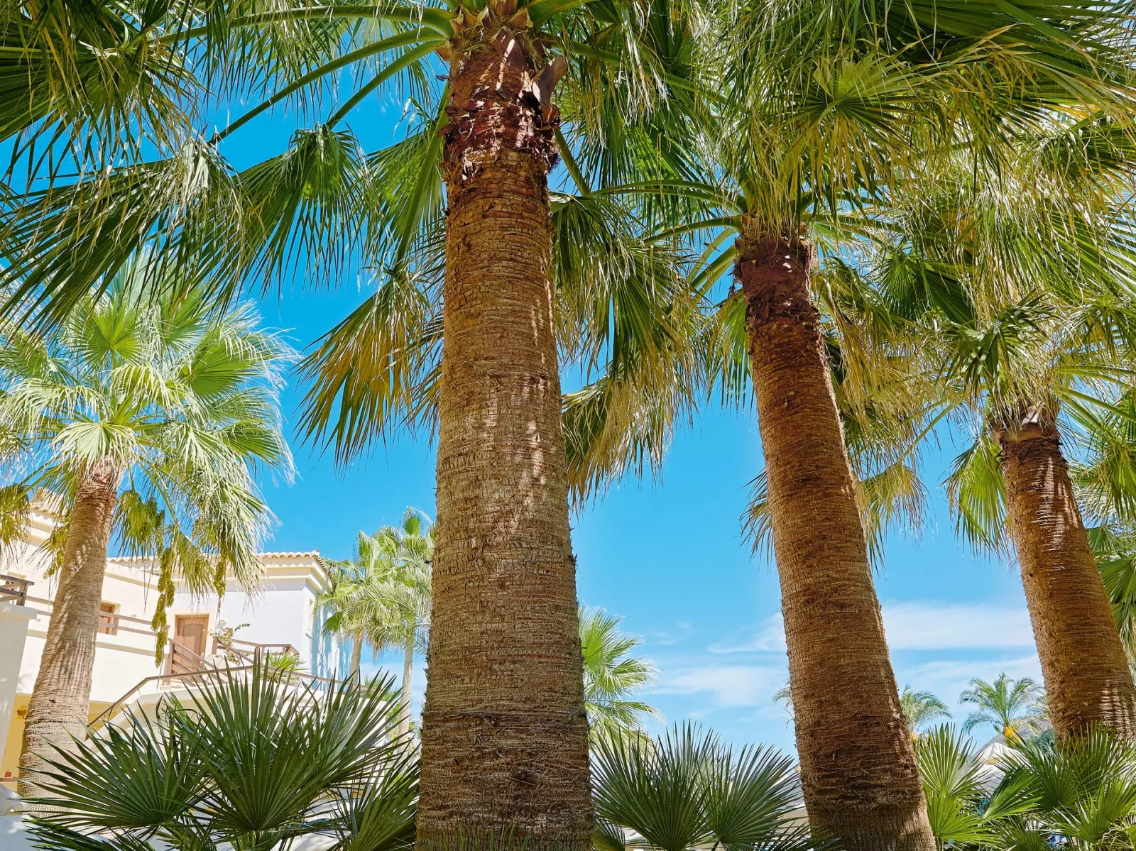 Casa Marina Family Apartment Pool \ Garden View