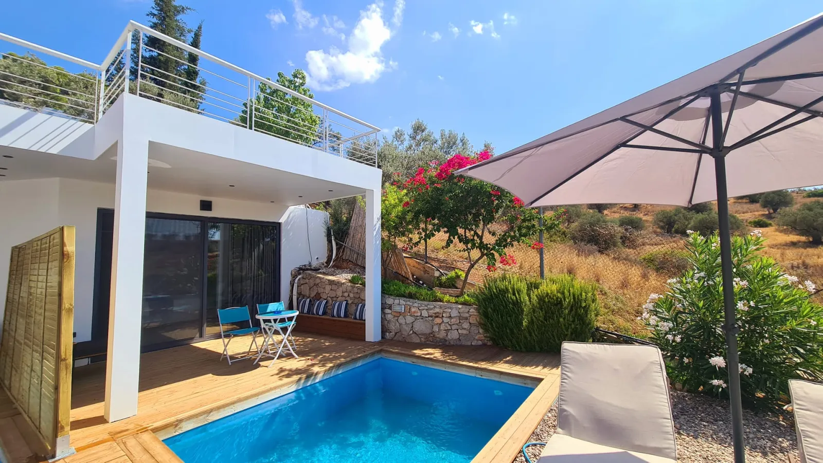 Luxury Suite with Private Pool [adults only]