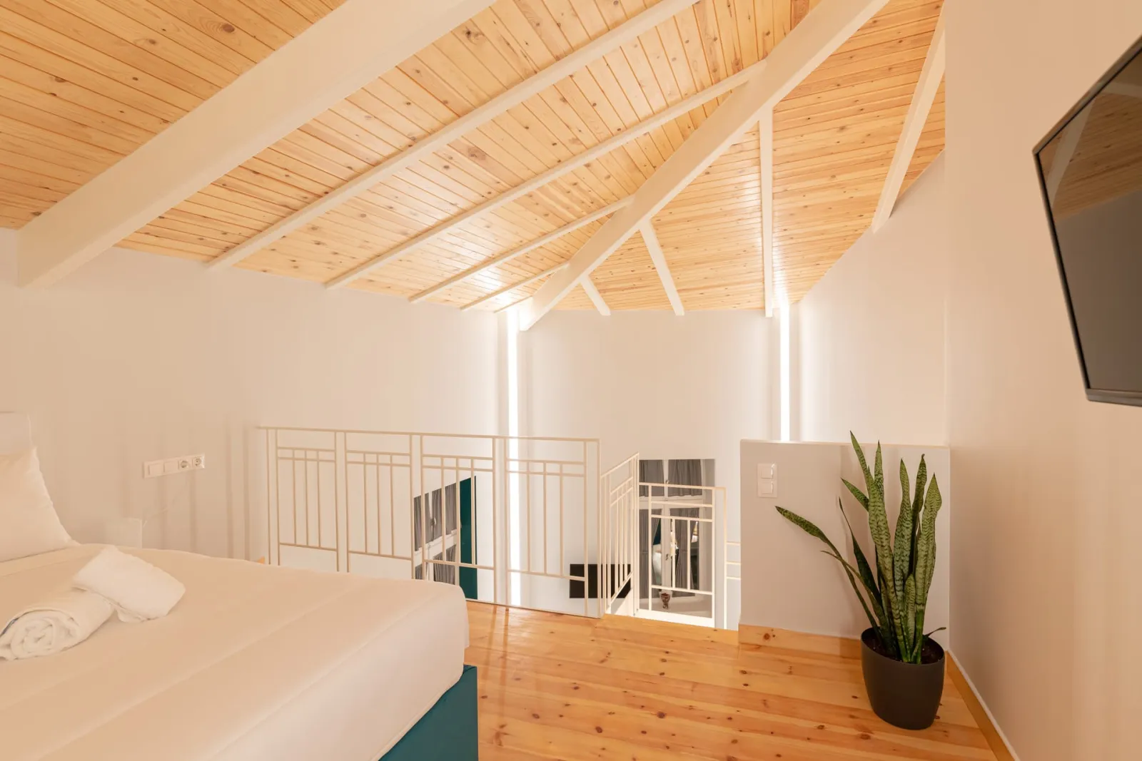 Water Loft