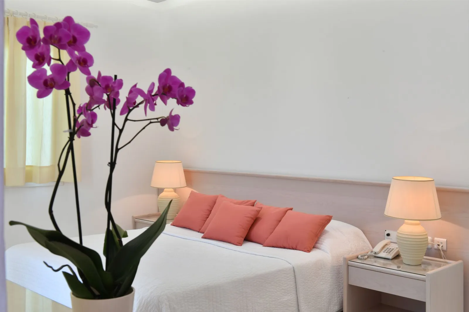 Junior Suite Premium
