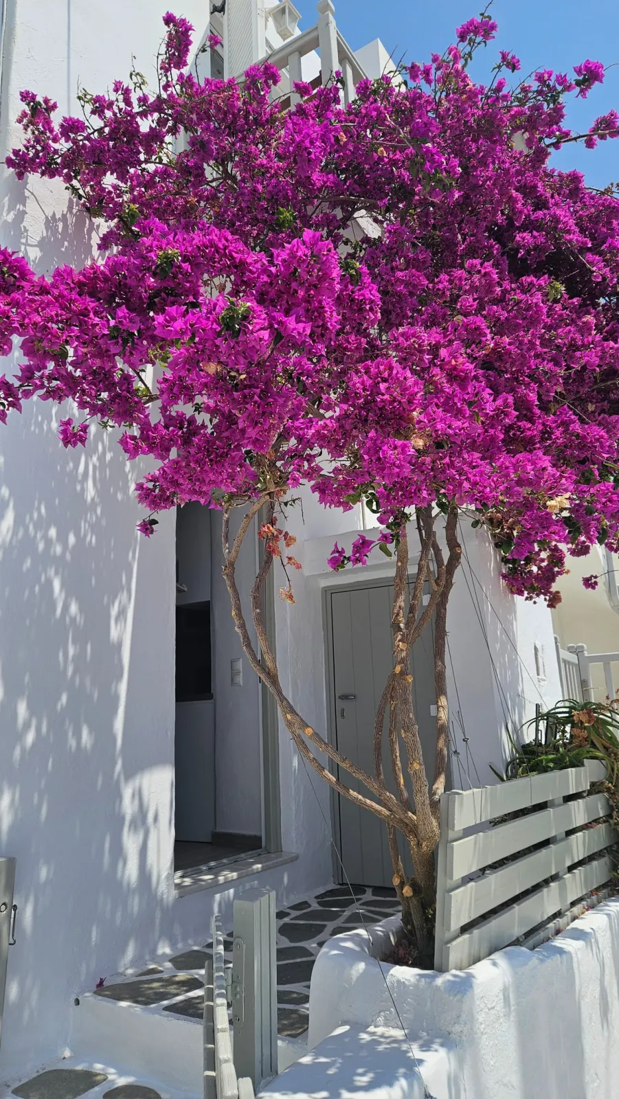 Twin or Double Room with Seaview