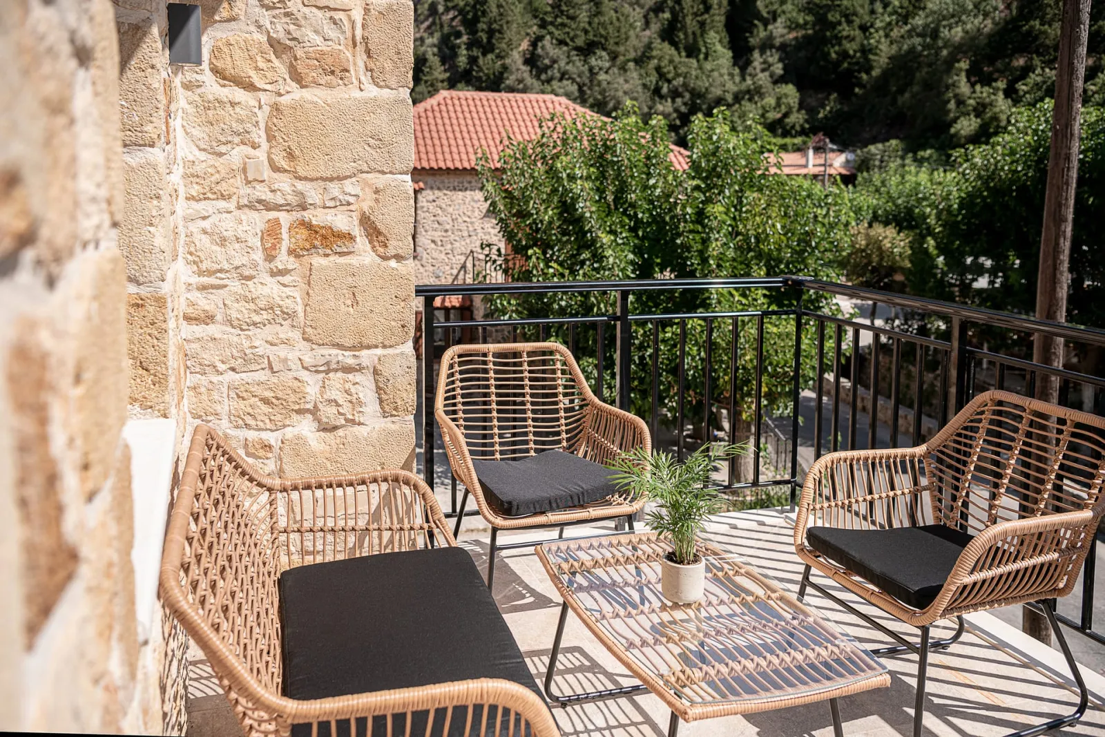 Elia Rustic Apartment Theriso with terrace