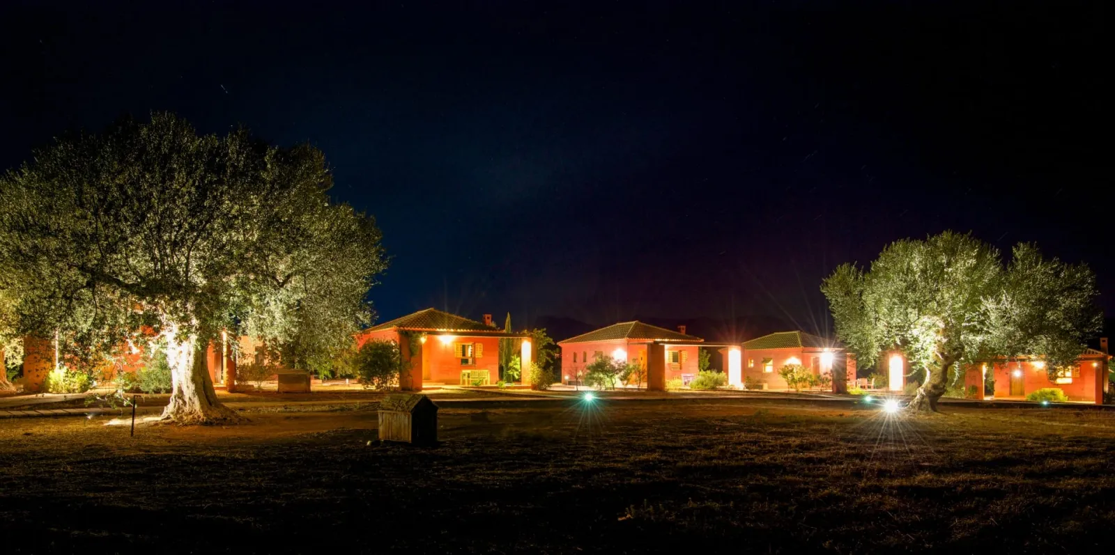 The Olive Tree House