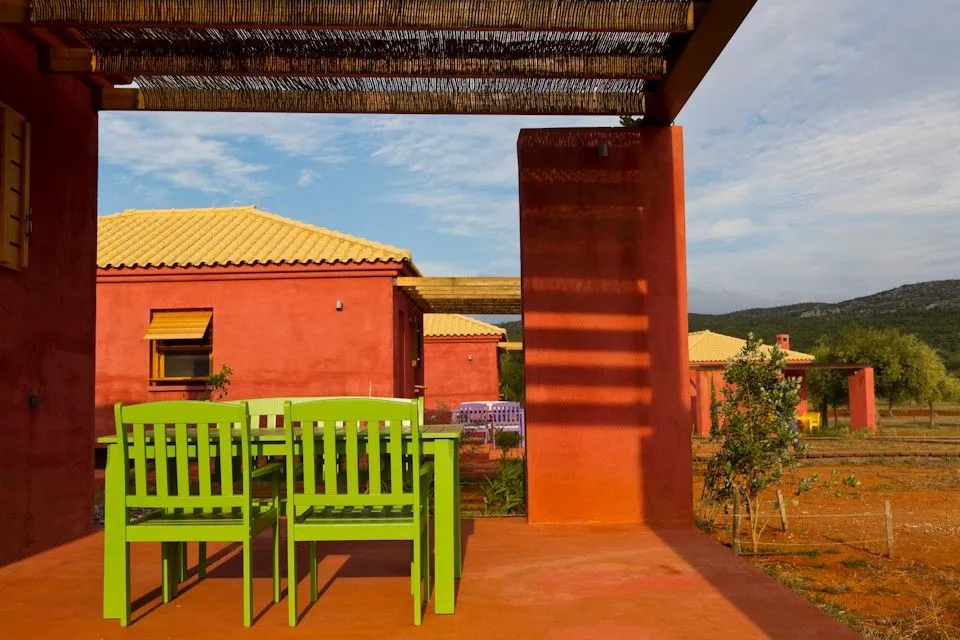 The Grape Vine House