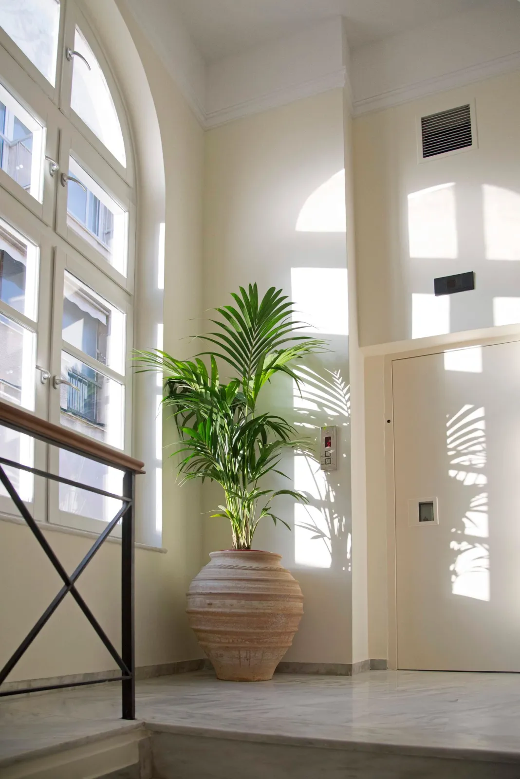 Notos | 3 Bedroom Suite Apartment with Acropolis View