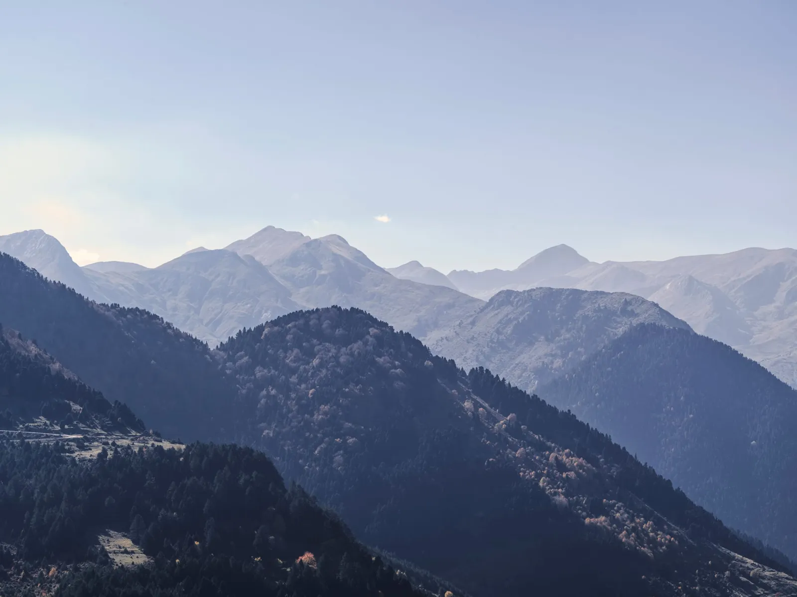 Panorama Suite with Mountain View